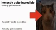 HonestlyQuiteIncredible emote