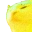 catJAMJAMJAMJAMJAMJAMJAM