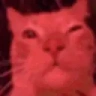 CatVibe emote