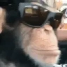 monkeEZ emote