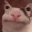 catJabber