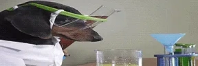 DogLookingSussyAndSciency emote