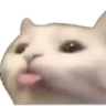 catBleh emote