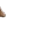 pony2 emote