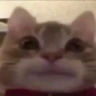 mano emote