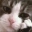 boredCat