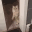 catLeave