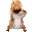 squirrelJAM