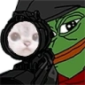 WeirdCatSnipe emote
