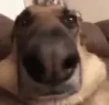 AYO emote