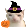 gatospooky emote