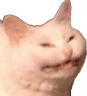 CatHiss emote