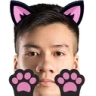 shipNyaa emote