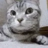 AREYOUAMOMMY emote