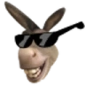 DonkeyCool emote