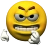XyliPizdish emote