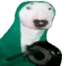 AttentionPls emote