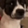 erm emote