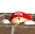 marioLurk