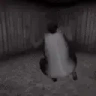 veiaPls emote