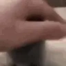 catPAT emote