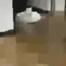THEQUALITY emote