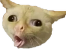 CatCough emote