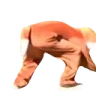 furryRun emote