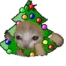 Xmascatrun emote
