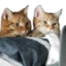 ViewingTogether emote