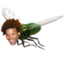 FlyHard emote