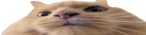 widepeepoPussy emote