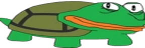 wideTurteg emote