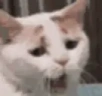 yawn emote