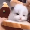 Bread emote