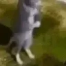 BlessRNG emote