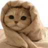 watchingFaith emote