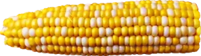 Corn emote