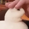 quack emote