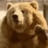 bearHey emote