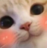 UWU emote
