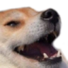 dogKEK emote