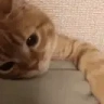 tucked emote