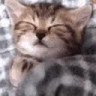 !sleep emote