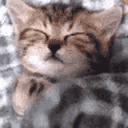 Sleepo