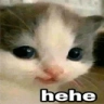 Hehe emote