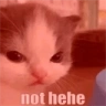 NotHehe emote