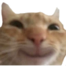 Smile emote