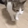 BRUHUHUHUUHUHUHUHUHU emote