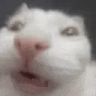comoquemetiemblalavoz emote